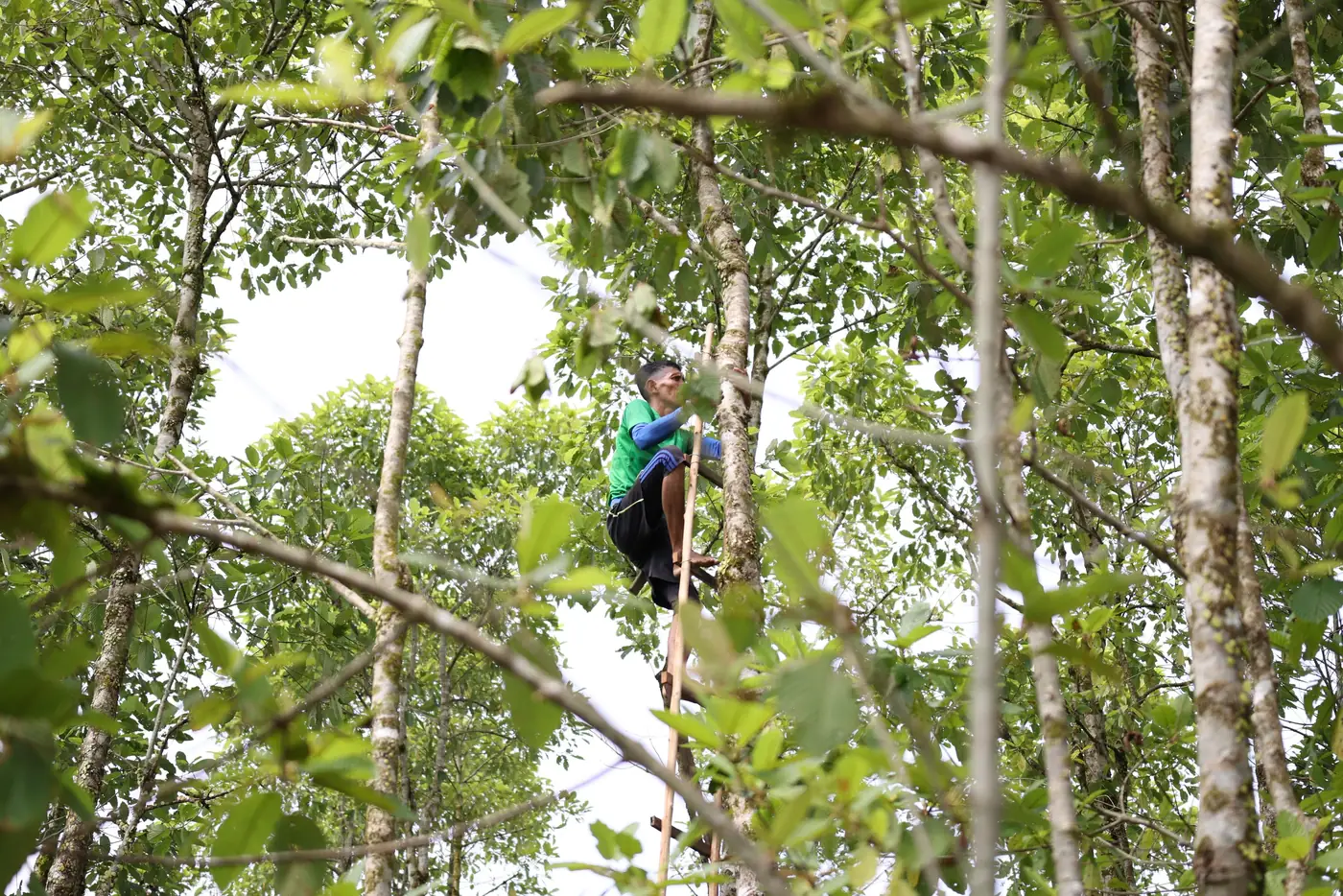 Sakti Botanicals harvest photo 2