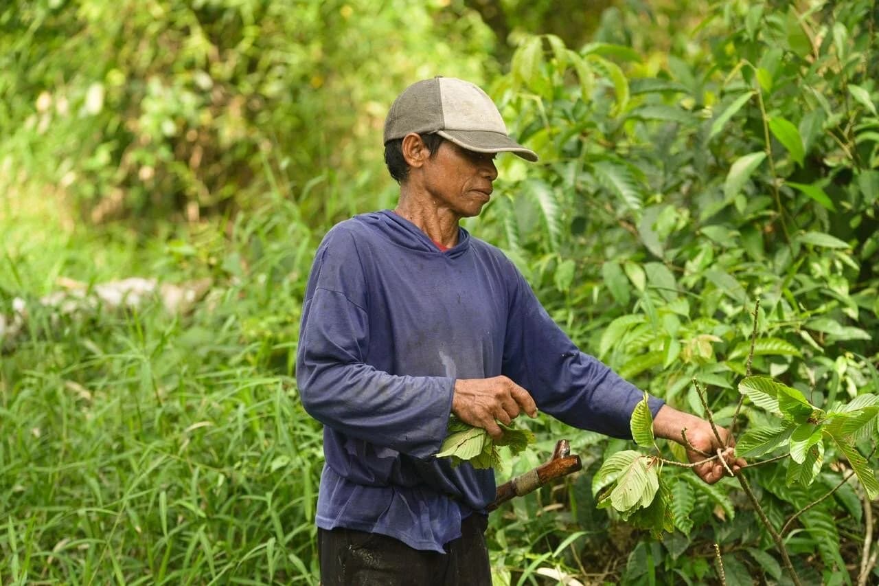 Wild Harvesting