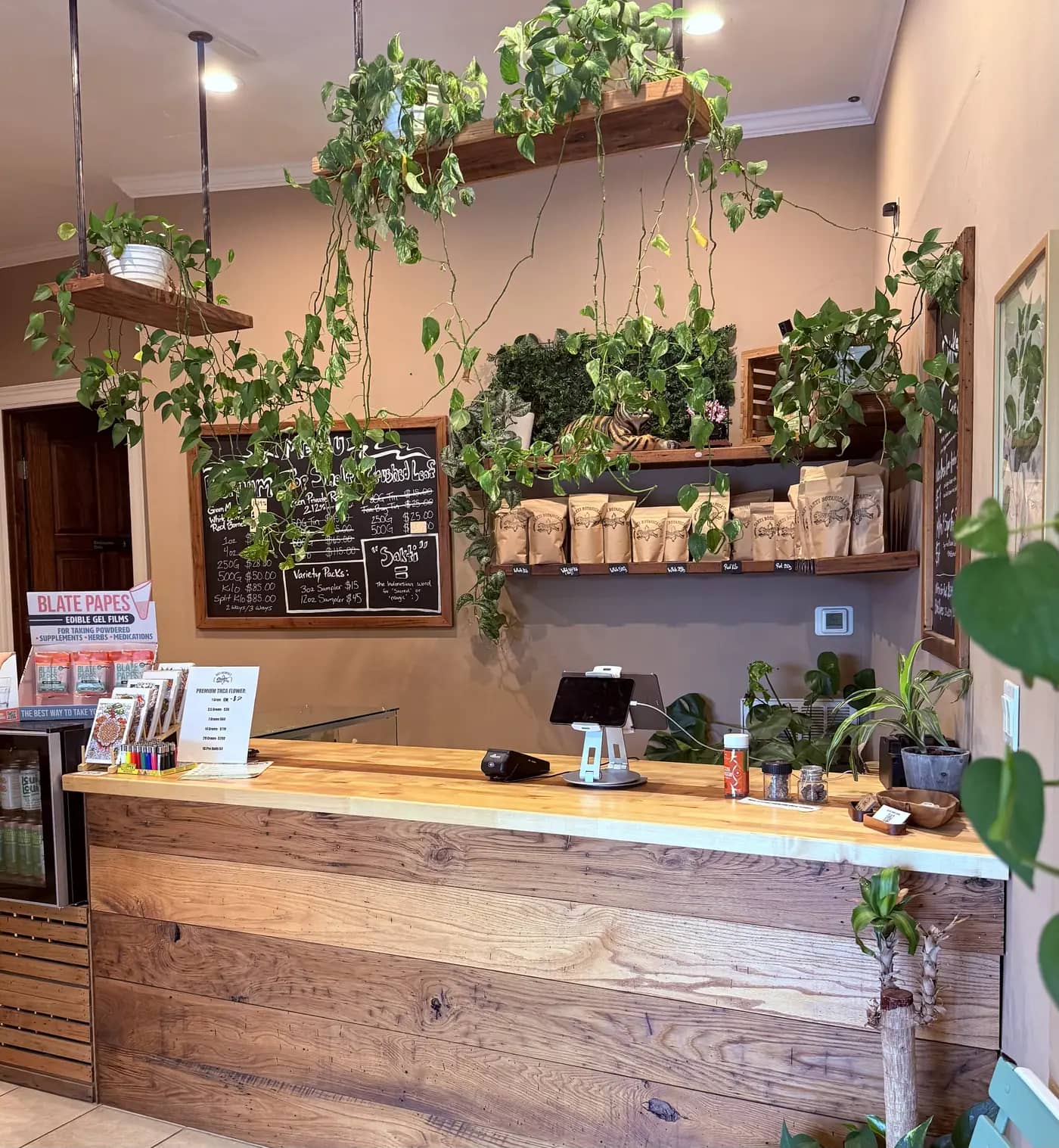 Sakti Botanicals shop counter in Asheville, with hanging plants and kraft bags